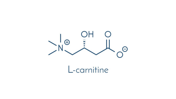 Molécule de l carnitine